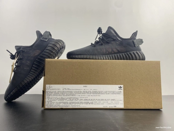 GX3791 Mono Boost Yeezy 350 Adidas Cinder V2 0809